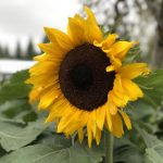 片库网电视剧大全:畅享最新热门剧集,尽在片库网! 4bk6w