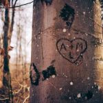 猫咪头条官网网页版:探索最新猫咪资讯与精彩视频的最佳平台 603unjdu7