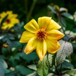 深入探讨:comic与funny之间的细微区别 9kfmx9j8vn