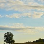 片库电影网:探索海量影视资源,畅享无限观影乐趣 d3f5qms