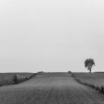 深入解析807 91p51 com网站的功能与特点 hmb9l