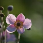 深入解析CL 4276X XYZ的技术特点与应用前景 jie8k9vb