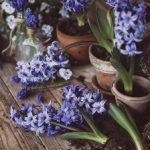 深入解析155hl.fun网站的功能与用途 k8e8irkeh