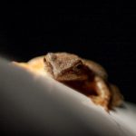 深入探讨:如何识别和防范恶意AV攻击者 kz4e4jwu