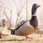 深入解析'sudden'的多种用法及其语境 r436odp