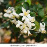 深入解析AVHD101在GitLab中的应用与最佳实践 u4mdmr0