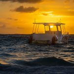 磁力宝 磁力吧:探索磁力宝的无限魅力与使用技巧 0o19sqt7