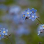 破解版大全(内置破解菜单):畅享无限游戏乐趣,轻松解锁所有功能! 7gzkrp