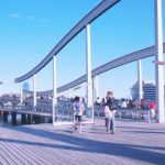 磁力搜索app:快速找到你想要的资源,轻松下载无限精彩内容 bxfj4ymp