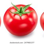 磁力多多搜索:轻松找到你想要的资源与内容 mqzd6m